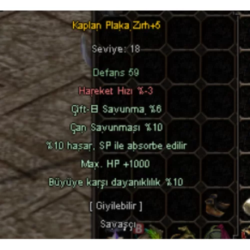  5 EFSUN 1000 HP +5 KAPLAN PLAKA